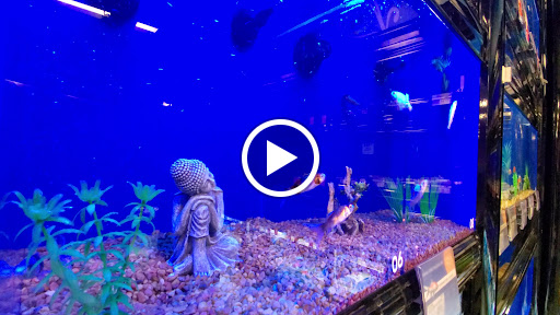 Pet Supply Store «PetSmart», reviews and photos, 15500 Panama City Beach Pkwy #340, Panama City Beach, FL 32413, USA