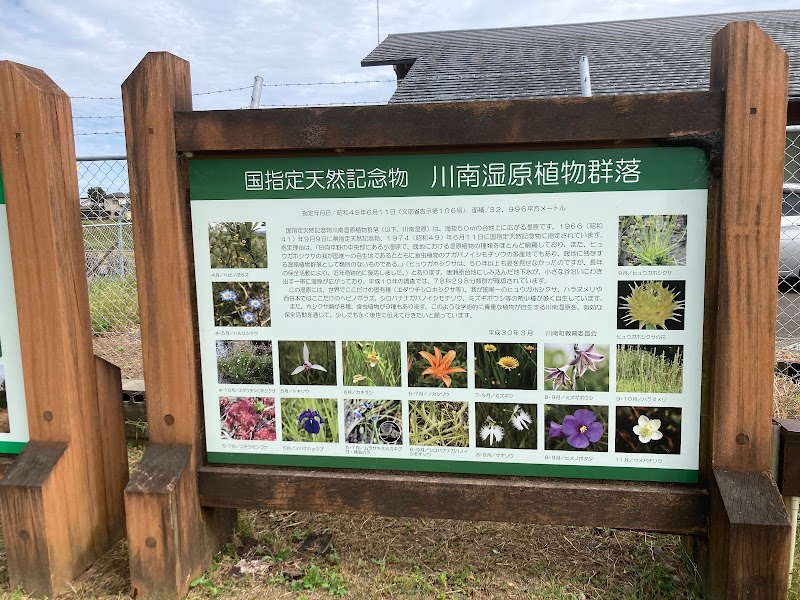 川南湿原植物群落