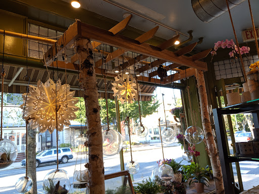 Florist «Jephry Flower Studio», reviews and photos, 432 Broadway, Providence, RI 02909, USA