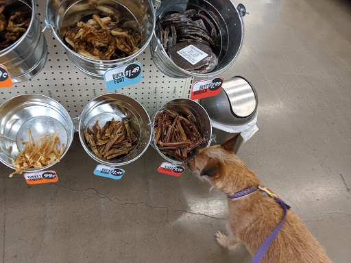Pet Supply Store «Pet Food Express», reviews and photos, 383 S McDowell Blvd, Petaluma, CA 94954, USA