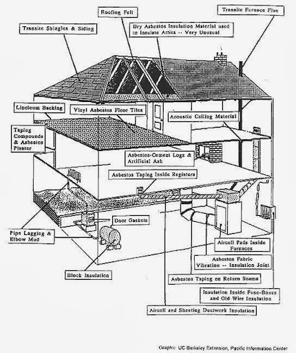 Asbestos. Lead. Mold services for low price.