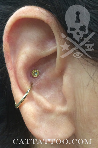 Explore taurus and scorpio tattoo ideas, creative tattoo ideas in Addison, available at Cat Tattoo