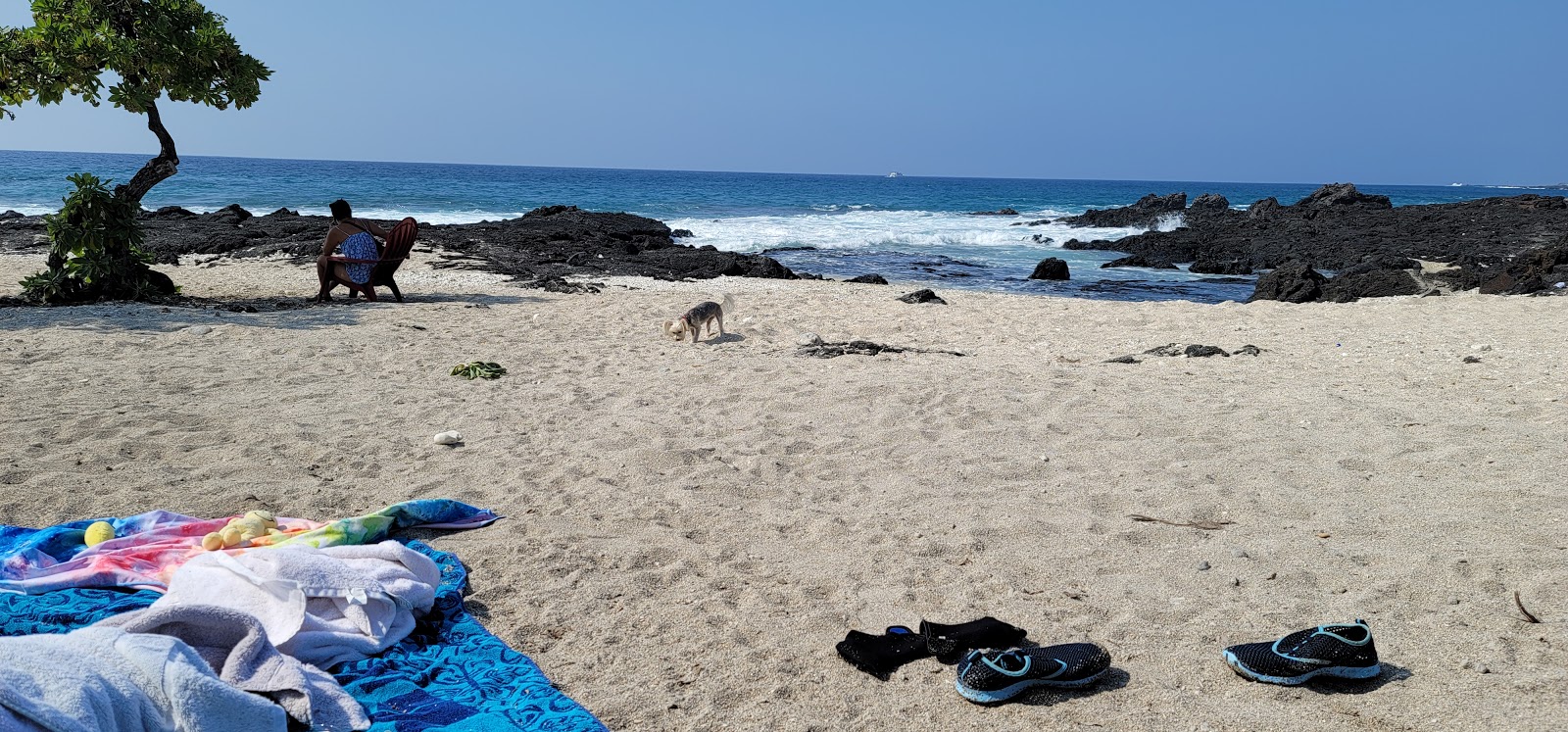 Fotografie cu O'oma Beach amplasat într-o zonă naturală