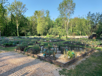Jardin de plantes médicinales à Bouconville-Vauclair