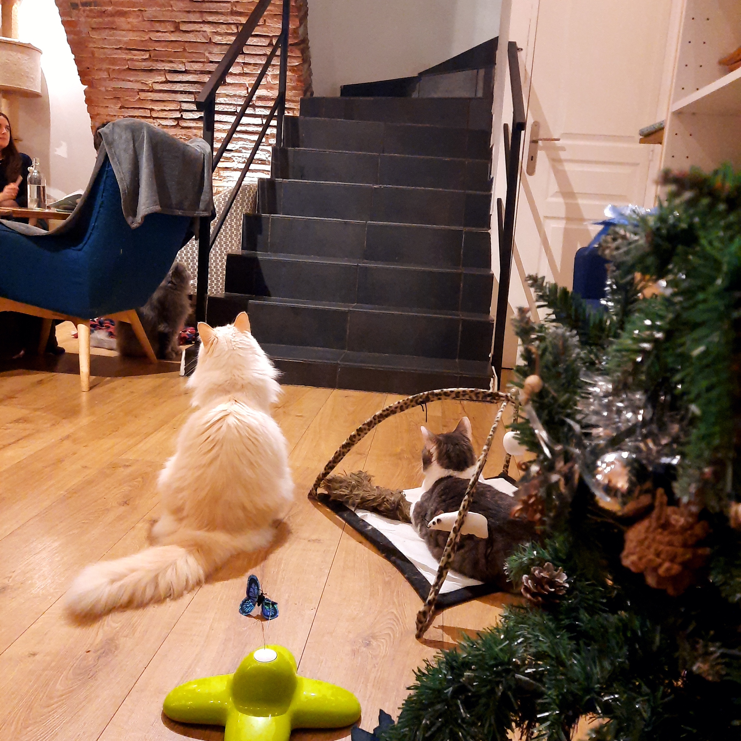 Photo n° 1 de l'avis de Follow.e fait le 28/12/2021 à 17:06