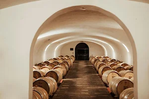 Avanzi winery and Frantoio image