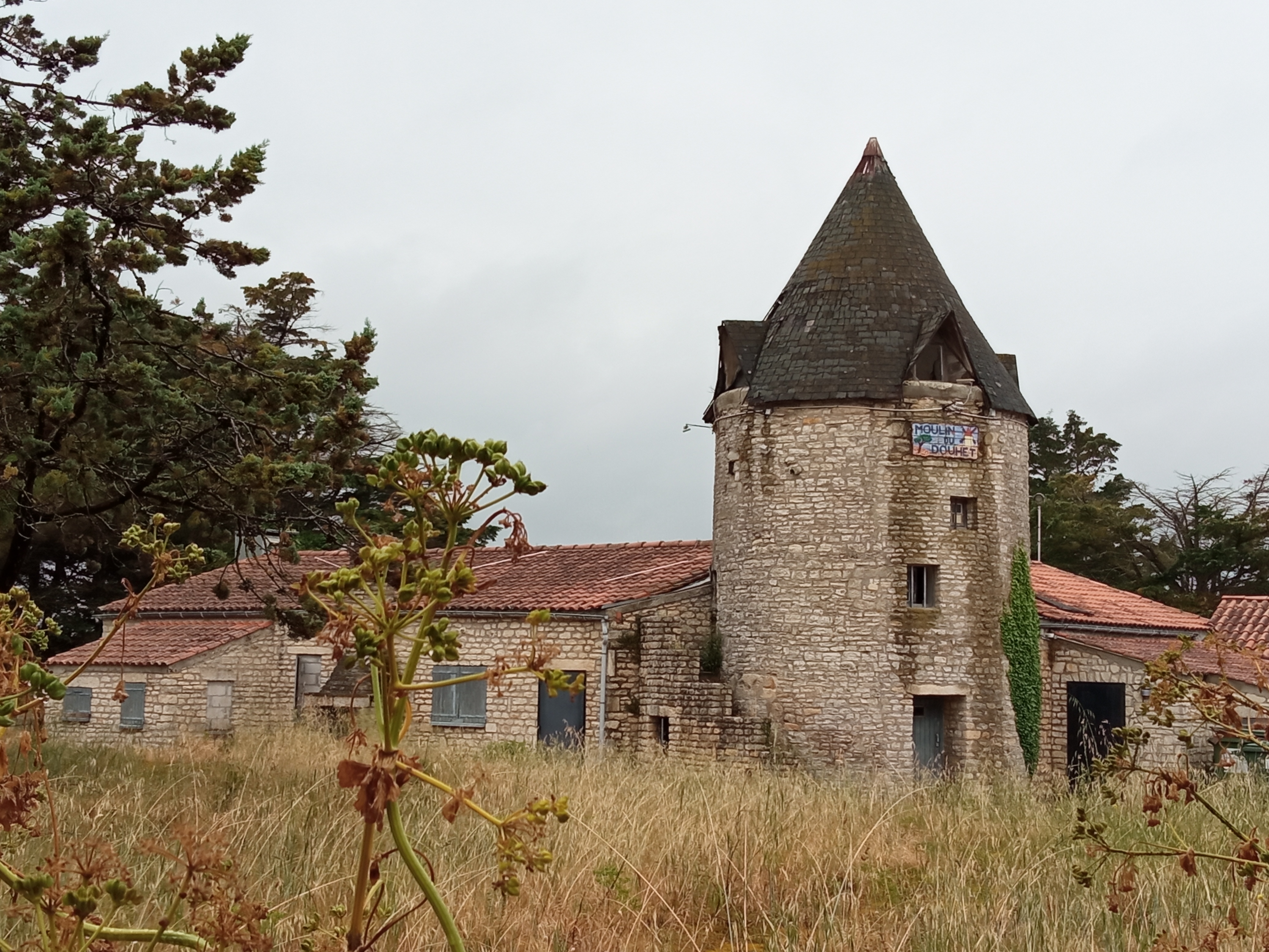 Photo n° 3 de l'avis de Chris.s fait le 03/06/2021 à 10:42