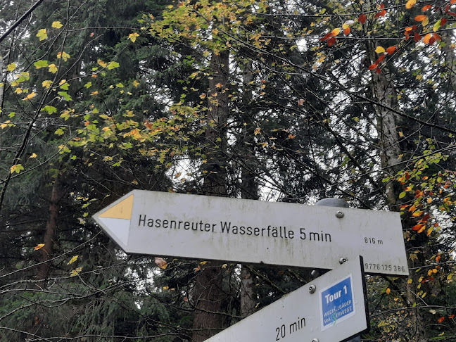 Kommentare und Rezensionen über Hochseilgarten Scheidegg
