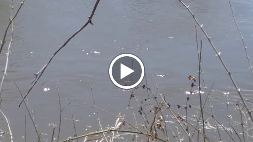 Park «Water Works Park», reviews and photos, 2201 George Flagg Pkwy, Des Moines, IA 50321, USA