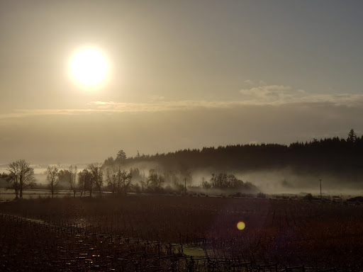 Winery «Zenith Vineyard», reviews and photos, 5657 Zena Rd NW, Salem, OR 97304, USA