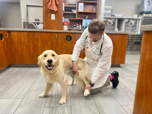 Cascade Hospital for Animals image