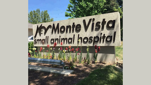 Monte Vista Small Animal Hospital image