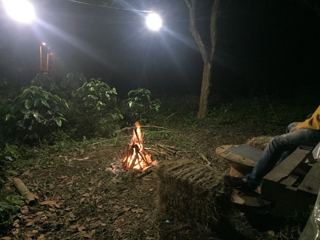 Finca el bosque