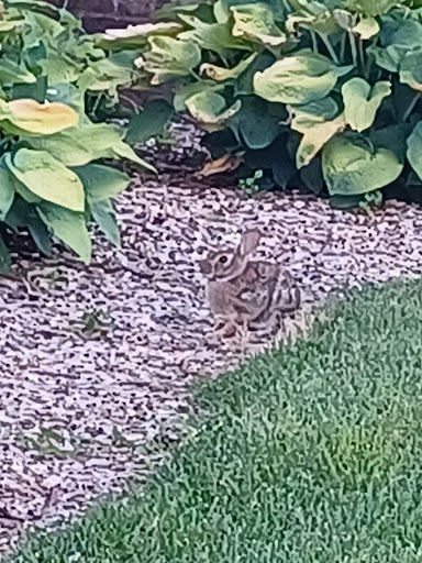 Nature Preserve «Welwyn Preserve», reviews and photos, 100 Crescent Beach Rd, Glen Cove, NY 11542, USA