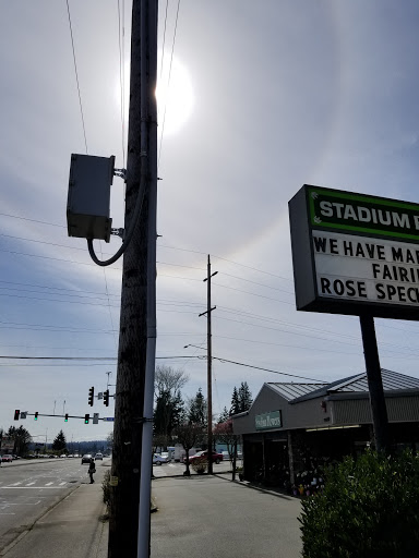 Florist «Stadium Flowers», reviews and photos, 20728 WA-99, Lynnwood, WA 98036, USA