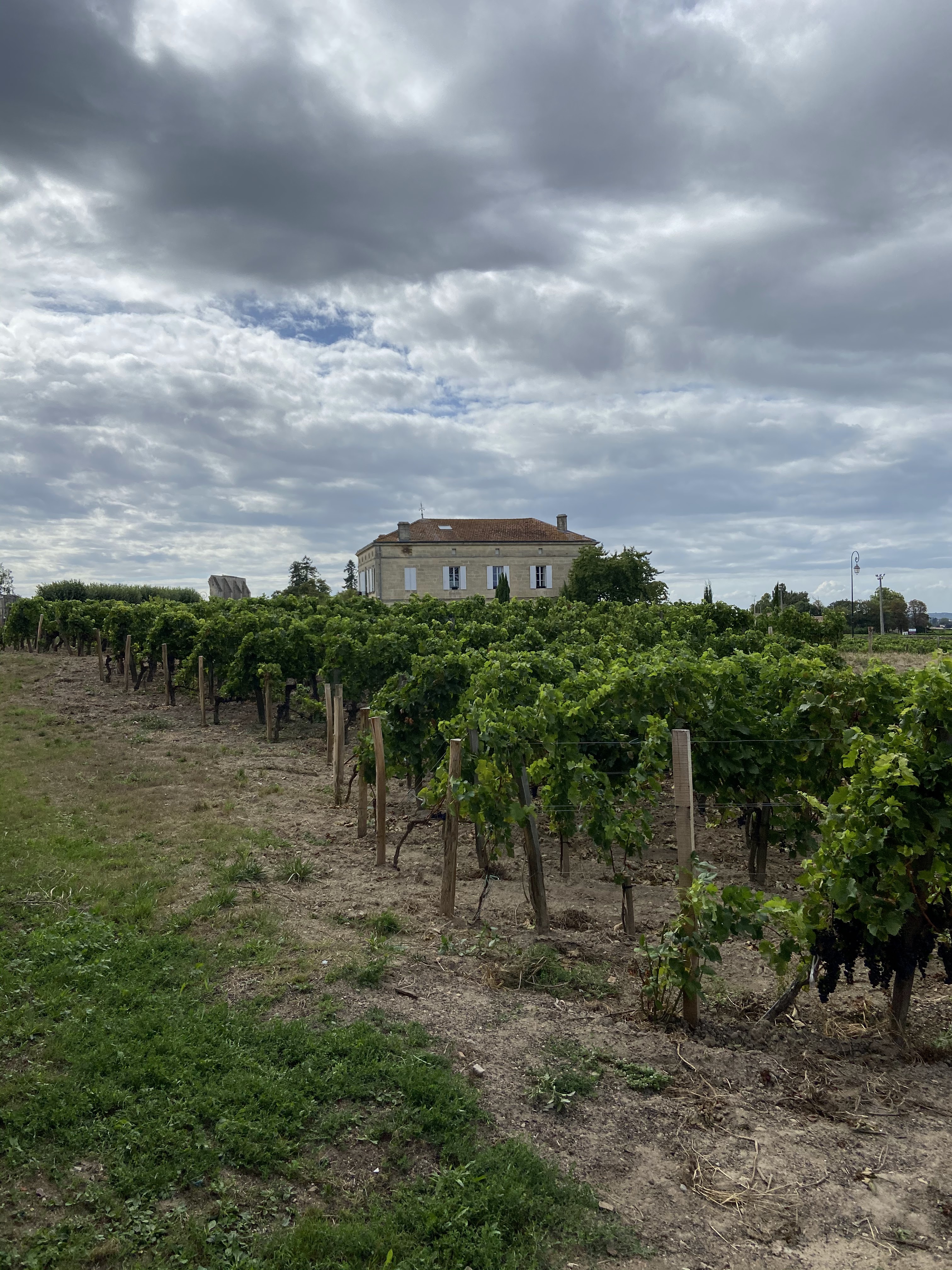 Photo n° 3 de l'avis de Cherees.l fait le 22/08/2020 à 16:40