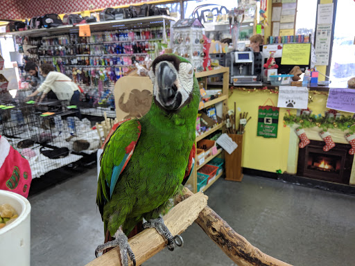 Pet Supply Store «Our Pet World», reviews and photos, 380 Semoran Commerce Pl, Apopka, FL 32703, USA