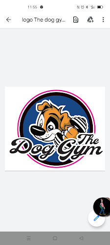 The Dog Gym - Andenne