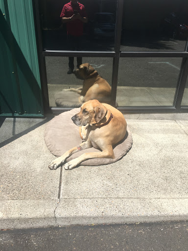 Auto Repair Shop «Henderson Auto», reviews and photos, 9075 SW Burnham St, Tigard, OR 97223, USA