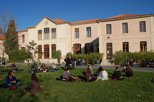 Institut universitaire professionnalisé Montpellier