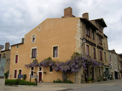 Glycine de Saint Loup à Saint-Loup-Lamairé