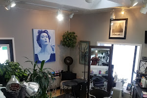 Di Stefano's Hair Salon