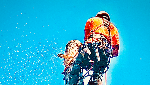 All Tree Service 10274 Durbrow Rd, Grass Valley, CA 95945