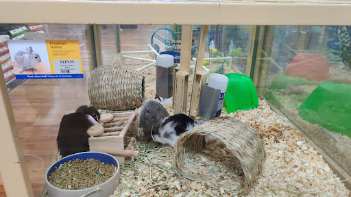 Pet Supply Store «Pet Supermarket», reviews and photos, 3316 Battleground Ave, Greensboro, NC 27410, USA
