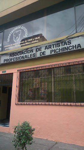Opiniones de Asociación de Artistas Profesionales de Pichincha en Quito - Asociación