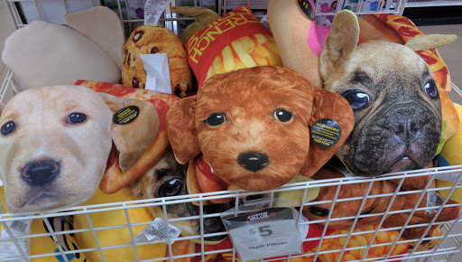 Craft Store «Michaels», reviews and photos, 630 US-441, Lady Lake, FL 32159, USA