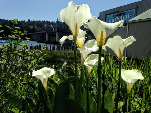 Cafe «Siuslaw River Coffee Roasters», reviews and photos, 1240 Bay St, Florence, OR 97439, USA