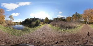 The Morton Arboretum - photo 44
