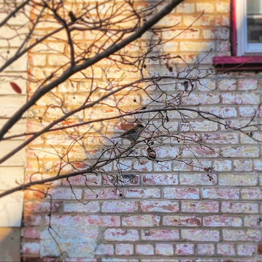 Coffee Shop «King Street Coffee», reviews and photos, 110 S King St, Leesburg, VA 20175, USA