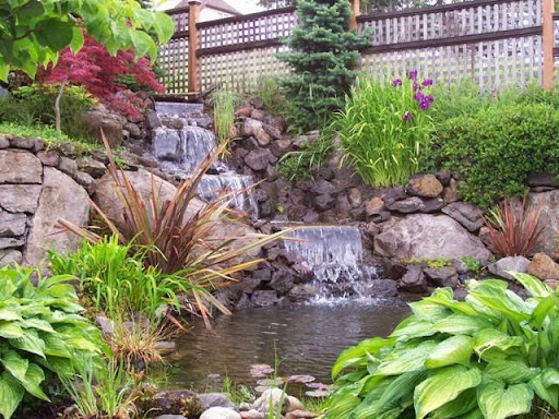 Landscape Designer «C and D Landscape Co. LCB#5207 CCB#198992», reviews and photos, 16800 NE McDougall Rd, Dayton, OR 97114, USA