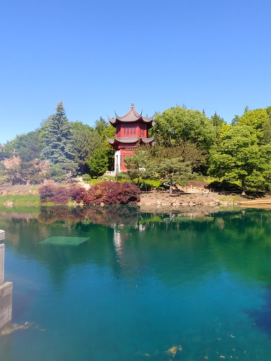 Jardin Japonais