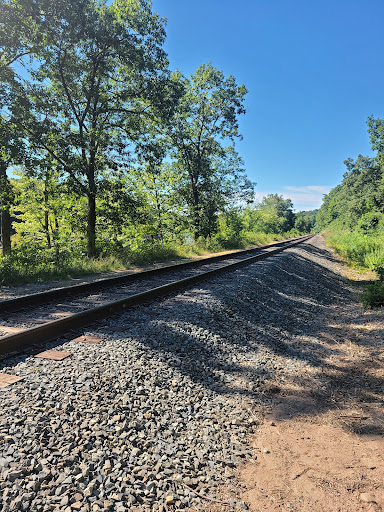 Tourist Attraction «Dinosaur Footprints», reviews and photos, US-5, Holyoke, MA 01040, USA