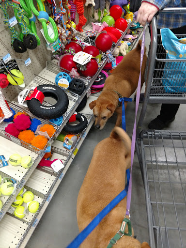 Home Improvement Store «Tractor Supply Co.», reviews and photos, 575 N Lapeer Rd, Oxford, MI 48371, USA