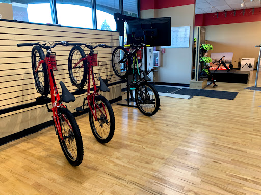 Bicycle Store «M & M Cyclery», reviews and photos, 734 Butterfield Rd, Mundelein, IL 60060, USA