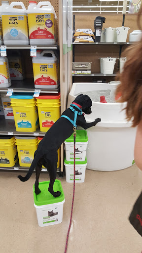 Pet Supply Store «Petco Animal Supplies», reviews and photos, 169 Brooklawn St, Farragut, TN 37934, USA