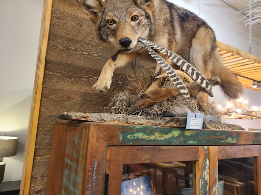 Furniture Store «Colorado Furniture and Consignments», reviews and photos, 1193 Bergen Pkwy, Evergreen, CO 80439, USA