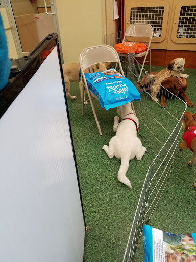 Pet Supply Store «Petco Animal Supplies», reviews and photos, 1704 US Hwy 27 S, Sebring, FL 33870, USA