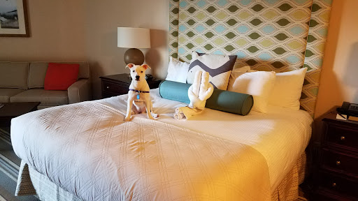 Beach Resort «Omni Hilton Head Oceanfront Resort», reviews and photos