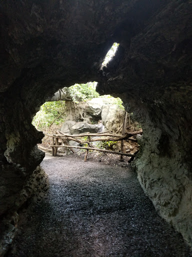 Park «Bronx zoo Park lot», reviews and photos, 2152 Crotona Pkwy, Bronx, NY 10460, USA