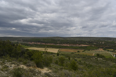 Forêt Communale de Villeveyrac à Villeveyrac