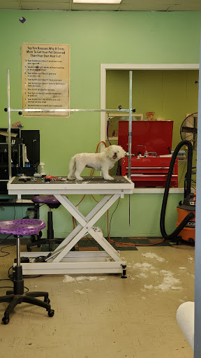 Pet Groomer «Tidy Dog Pet Supply & Salon», reviews and photos, 2612 Lebanon Pike A, Nashville, TN 37214, USA