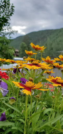 Resort «Manor Vail Lodge», reviews and photos, 595 Vail Valley Dr, Vail, CO 81657, USA