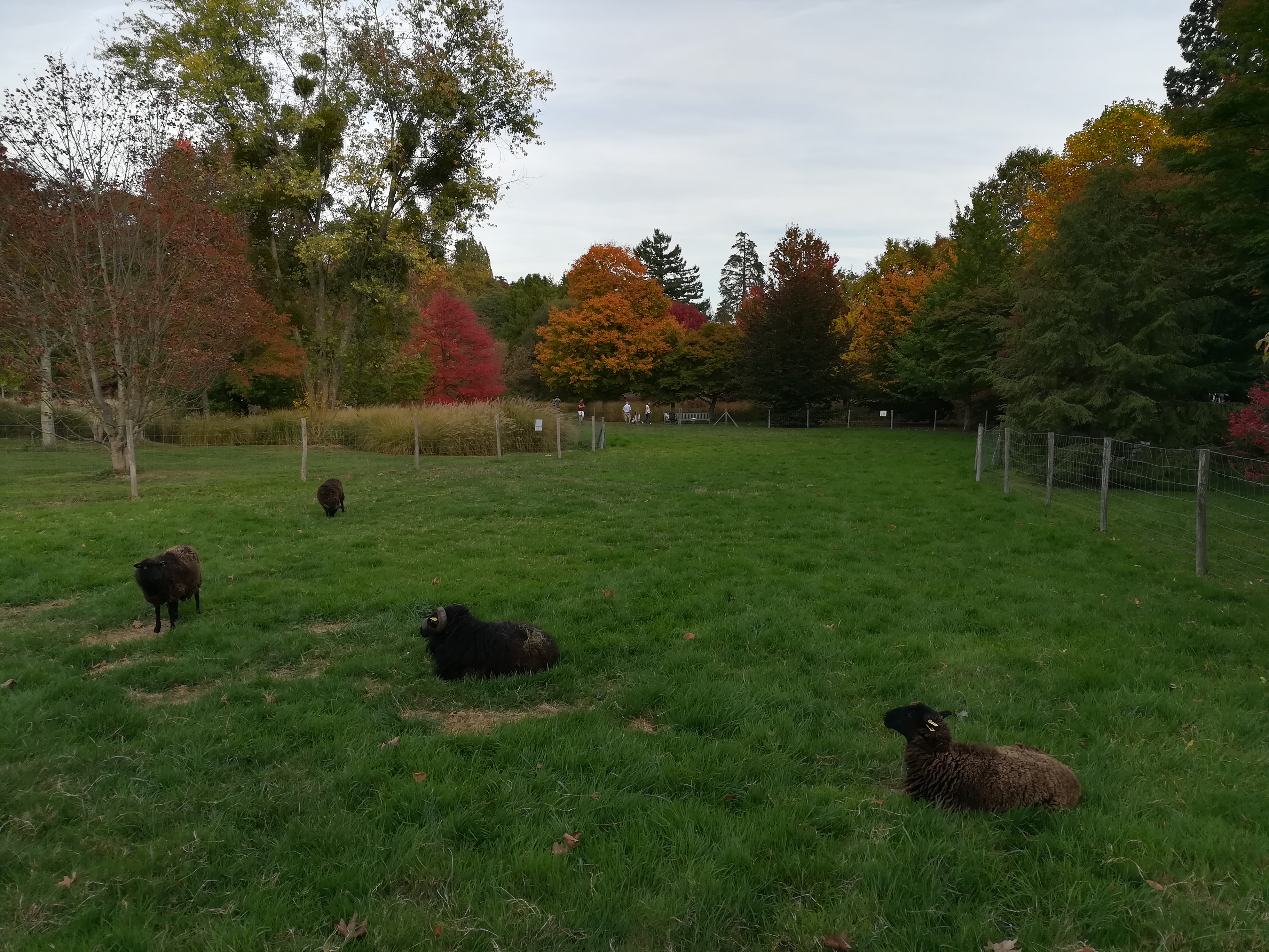 Photo n° 2 de l'avis de Vincent.O fait le 13/10/2018 à 17:33