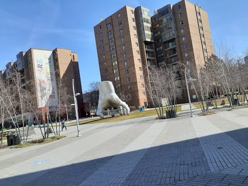 Art Museum «Museum of Contemporary Art Cleveland», reviews and photos, 11400 Euclid Ave, Cleveland, OH 44106, USA