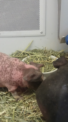 Pet Supply Store «Petco Animal Supplies», reviews and photos, 2005 Dr Martin Luther King Jr Pkwy, Chico, CA 95928, USA