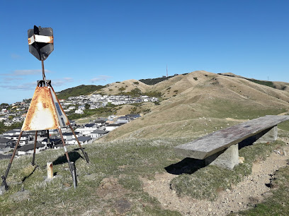 Totara Ridge Trig Station